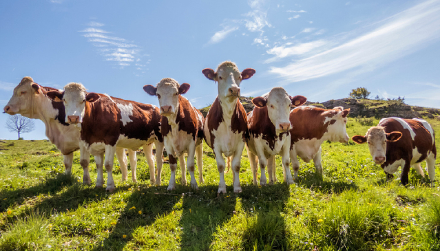 Dans quelle ferme du Jura peut-on passer ses vacances ?